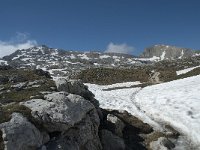 I, Sued-Tirol, Corvara, Naturpark Puez-Geisler 111, Saxifraga-Annemiek Bouwman