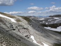 I, Sued-Tirol, Corvara, Naturpark Puez-Geisler 46, Saxifraga-Willem van Kruijsbergen