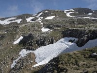 I, Sued-Tirol, Corvara, Naturpark Puez-Geisler 63, Saxifraga-Willem van Kruijsbergen