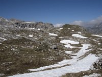 I, Sued-Tirol, Corvara, Naturpark Puez-Geisler 70, Saxifraga-Willem van Kruijsbergen