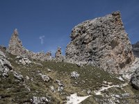 I, Sued-Tirol, Corvara, Naturpark Puez-Geisler, Forcella Cier 27, Saxifraga-Willem van Kruijsbergen