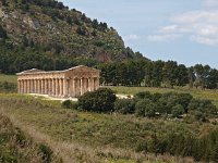 I, Trapani, Calatafimi Segesta, Segesta 2, Saxifraga-Hans Dekker