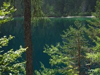 I, Trente, Ville d'Anaunia, Lago di Tovel 10, Saxifraga-Hans Dekker