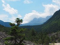 I, Trente, Ville d'Anaunia, Lago di Tovel 3, Saxifraga-Hans Dekker