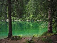 I, Trente, Ville d'Anaunia, Lago di Tovel 5, Saxifraga-Hans Dekker