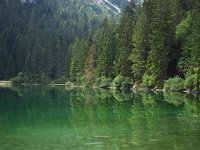 I, Trente, Ville d'Anaunia, Lago di Tovel 6, Saxifraga-Hans Dekker