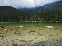 I, Trente, Ville d'Anaunia, Lago di Tovel 7, Saxifraga-Hans Dekker