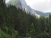 I, Trente, Ville d'Anaunia, Lago di Tovel 9, Saxifraga-Hans Dekker