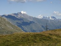 I, Valle d'Aosta, La Thuile, Col du Petit Saint Bernard 7, Saxifraga-Jan van der Straaten