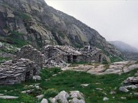 I, Valle d'Aosta, Rhemes-Notre Dame, Alp Foges 1, Saxifraga-Jan van der Straaten