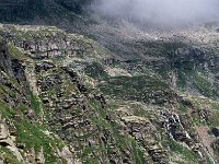 I, Valle d'Aosta, Rhemes-Notre Dame, Colle della Porta 4, Saxifraga-Jan van der Straaten