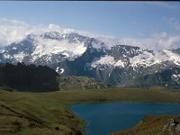 I, Valle d'Aosta, Rhemes-Notre Dame, Lagi Trebecchi 1, Saxifraga-Jan van der Straaten