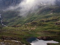 I, Valle d'Aosta, Rhemes-Notre Dame, Lago del Nivole 1, Saxifraga-Jan van der Straaten