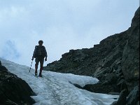 I, Valle d'Aosta, Rhemes-Notre Dame, Vallone di Leynir 1, Saxifraga-Jan van der Straaten