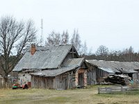 LV, Kurzeme, Talsu novads, Kolka 1, Saxifraga-Tom Heijnen