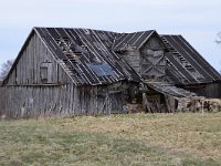 LV, Kurzeme, Talsu novads, near Sliteres nacionalais parks 3, Saxifraga-Tom Heijnen