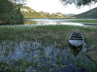 MNE, Cetinje, Skadarsko jezero at Karuc 4, Saxifraga-Tom Heijnen