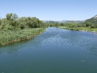 MNE, Cetinje, Skadarsko jezero near Dodosi, Saxifraga-Tom Heijnen