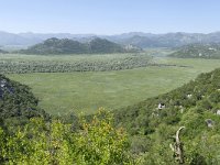 MNE, Cetinje, Skadarsko jezero near Karuc 4, Saxifraga-Tom Heijnen