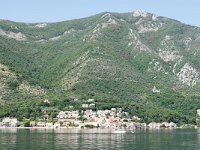 MNE, Kotor, Boka kotorska near Dobrota 2, Saxifraga-Tom Heijnen