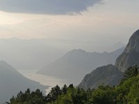 MNE, Kotor, Kotor to Kopito 2, Saxifraga-Tom Heijnen