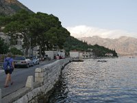 MNE, Kotor, Perast 6, Saxifraga-Tom Heijnen