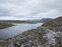 N, Finnmark, Nordkapp, Gjesvaer 18, Saxifraga-Willem van Kruijsbergen