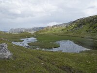 N, Finnmark, Nordkapp, Gjesvaer 23, Saxifraga-Willem van Kruijsbergen