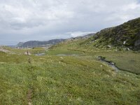 N, Finnmark, Nordkapp, Gjesvaer 24, Saxifraga-Willem van Kruijsbergen