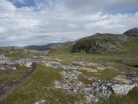 N, Finnmark, Nordkapp, Gjesvaer 29, Saxifraga-Willem van Kruijsbergen