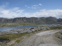 N, Finnmark, Nordkapp, Gjesvaer 3, Saxifraga-Willem van Kruijsbergen