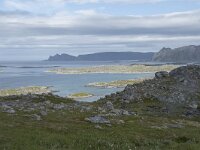 N, Finnmark, Nordkapp, Gjesvaer 38, Saxifraga-Willem van Kruijsbergen