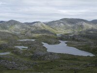 N, Finnmark, Nordkapp, Gjesvaer 41, Saxifraga-Willem van Kruijsbergen