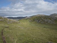 N, Finnmark, Nordkapp, Gjesvaer, Stortuva 7, Saxifraga-Willem van Kruijsbergen