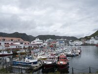 N, Finnmark, Nordkapp, Honningsvag 5, Saxifraga-Willem van Kruijsbergen