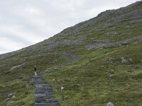 N, Finnmark, Nordkapp, Honningsvag, Storfjellet 17, Saxifraga-Willem van Kruijsbergen