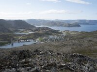 N, Finnmark, Nordkapp, Honningsvag, Storfjellet 5, Saxifraga-Willem van Kruijsbergen