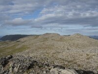 N, Finnmark, Nordkapp, Honningsvag, Storfjellet 8, Saxifraga-Willem van Kruijsbergen