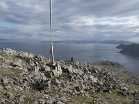 N, Finnmark, Nordkapp, Honningsvag, Storfjellet 9, Saxifraga-Willem van Kruijsbergen