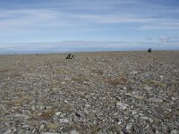 N, Finnmark, Nordkapp, Nordkapp 36, Saxifraga-Willem van Kruijsbergen