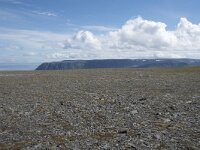 N, Finnmark, Nordkapp, Nordkapp 37, Saxifraga-Willem van Kruijsbergen