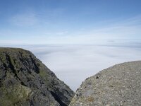 N, Finnmark, Nordkapp, Nordkapp 41, Saxifraga-Willem van Kruijsbergen