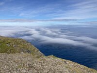 N, Finnmark, Nordkapp, Nordkapp 7, Saxifraga-Willem van Kruijsbergen
