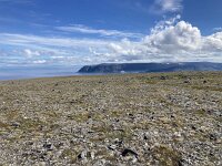 N, Finnmark, Nordkapp, Nordkapp 9, Saxifraga-Willem van Kruijsbergen