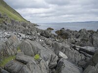 N, Finnmark, Nordkapp, Nordvagen 12, Saxifraga-Willem van Kruijsbergen