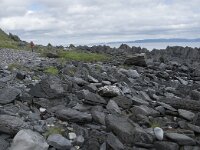 N, Finnmark, Nordkapp, Nordvagen 13, Saxifraga-Willem van Kruijsbergen