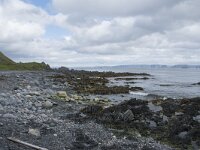 N, Finnmark, Nordkapp, Nordvagen 18, Saxifraga-Willem van Kruijsbergen