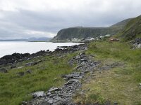 N, Finnmark, Nordkapp, Nordvagen 8, Saxifraga-Willem van Kruijsbergen