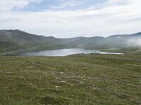 N, Finnmark, Nordkapp, Skarsvag 16, Saxifraga-Willem van Kruijsbergen