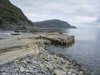 N, Finnmark, Porsanger, Russenes 12, Saxifraga-Willem van Kruijsbergen